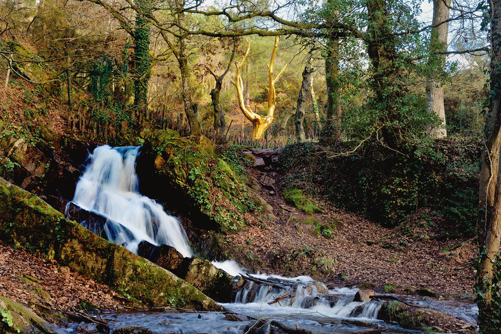 Brocéliande